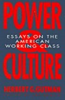 Power and Culture - Herbert G. Gutman - 9781565840102