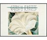 Georgia O'Keeffe-Postcard Book - Georgia O'Keeffe - 9781566400220