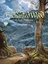 Sanderson, R: Enchanted Wood - Ruth Sanderson - 9781566560658