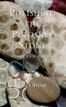 Polishing the Petoskey Stone - SHAW,  Luci - 9781573832434
