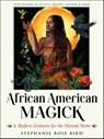 African American Magick - Stephanie Rose Bird - 9781578637843