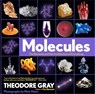 Molecules - Nick Mann ; Theodore Gray - 9781579129712