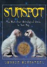 Sunspot - Laurie Birnsteel - 9781581822649