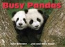 Busy Pandas - John Schindel - 9781582462592