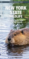 New York State Wildlife: A Folding Pocket Guide to Familiar Animals - Waterford Press - 9781583552988