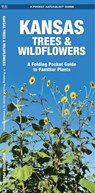 Kansas Trees & Wildflowers: An Introduction to Familiar Species - James Kavanagh - 9781583554098