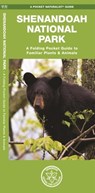 Shenandoah National Park: A Folding Pocket Guide to Familiar Plants & Animals -  - 9781583554975