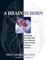 A Brain Is Born - John E. Upledger - 9781583943014