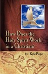 How Does the Holy Spirit Work in a Christian? - Kyle Pope - 9781584272533