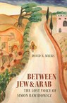 Between Jew & Arab: The Lost Voice of Simon Rawidowicz - David N. Myers - 9781584658542