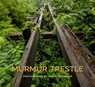 Murmur Trestle - Jason Thrasher - 9781588385192