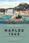 Naples 1343 - Amedeo Feniello ; Antony Shugaar - 9781590511039