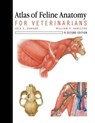 Atlas of Feline Anatomy For Veterinarians - Lola Hudson ; William Hamilton - 9781591610441
