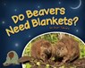 Do Beavers Need Blankets? - Stan Tekiela - 9781591934677