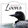 Our Love of Loons - Stan Tekiela - 9781591934950