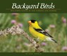 Backyard Birds - Stan Tekiela - 9781591936411