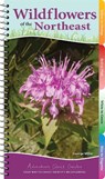 Wildflowers of the Northeast - George Oxford Miller - 9781591939443