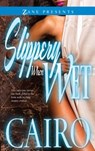 Slippery When Wet - Cairo - 9781593094355