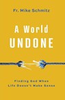World Undone - Fr Mike Schmitz - 9781593255992