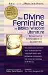 The Divine Feminine in Biblical Wisdom Literature - Rabbi Rami Shapiro - 9781594731099