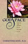 GodSpace - Christine Sine - 9781594980053