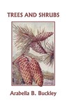 Trees and Shrubs (Yesterdays Classics) - Arabella B. Buckley - 9781599152752