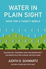 Water in Plain Sight - Judith D. Schwartz - 9781603589161