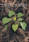 Energy Psychology Journal 16: 1 - Dawson Church - 9781604151770