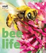 Bee Life - Lynette Evans - 9781608871988