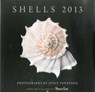 Shells -  - 9781608930081