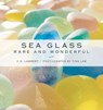 Sea Glass - C. S. Lambert - 9781608936540