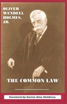 The Common Law - Steven Alan Childress - 9781610270007