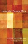 Remember You Are Dust - Walter Brueggemann - 9781610975353