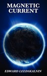 Magnetic Current - Edward Leedskalnin - 9781617202117