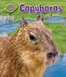 Capybaras - Rachel Lynette - 9781617727535