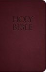 B-NB-SBP BUR REV/E - Saint Benedict Press - 9781618900616