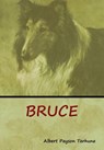 Bruce - Albert Payson Terhune - 9781618953490