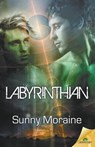 Labyrinthian - MORAINE,  Sunny - 9781619227828