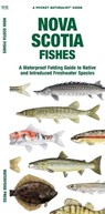Nova Scotia Fishes - Waterford Press Waterford Press ; Matthew Morris - 9781620056080