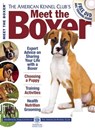 Meet the Boxer -  - 9781620080931