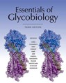 Essentials of Glycobiology, Third Edition - Ajit (University of California San Diego) Varki ; James J (University of Georgia Athens) Prestegard ; Richard D (Emory University School of Medicine Atlanta Georgia) Cummings - 9781621821328