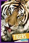 Tigers - Arnold Ringstad - 9781622432530