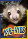 Aye-Ayes - Gail Terp - 9781623105648