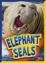 Elephant Seals - Gail Terp - 9781623105655