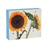 Botanicals QuickNotes -  - 9781623255145