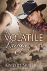 A Volatile Range Volume 6 - Andrew Grey - 9781623803339