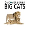 Big Cats: Discover Series Picture Book for Children - Xist Publishing - 9781623950156