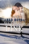 All I Want is Link - Christine Young - 9781624206511