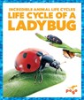 Life Cycle of a Ladybug - Karen Latchana Kenney - 9781624968181