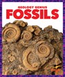 Fossils - Rebecca Pettiford - 9781624968280